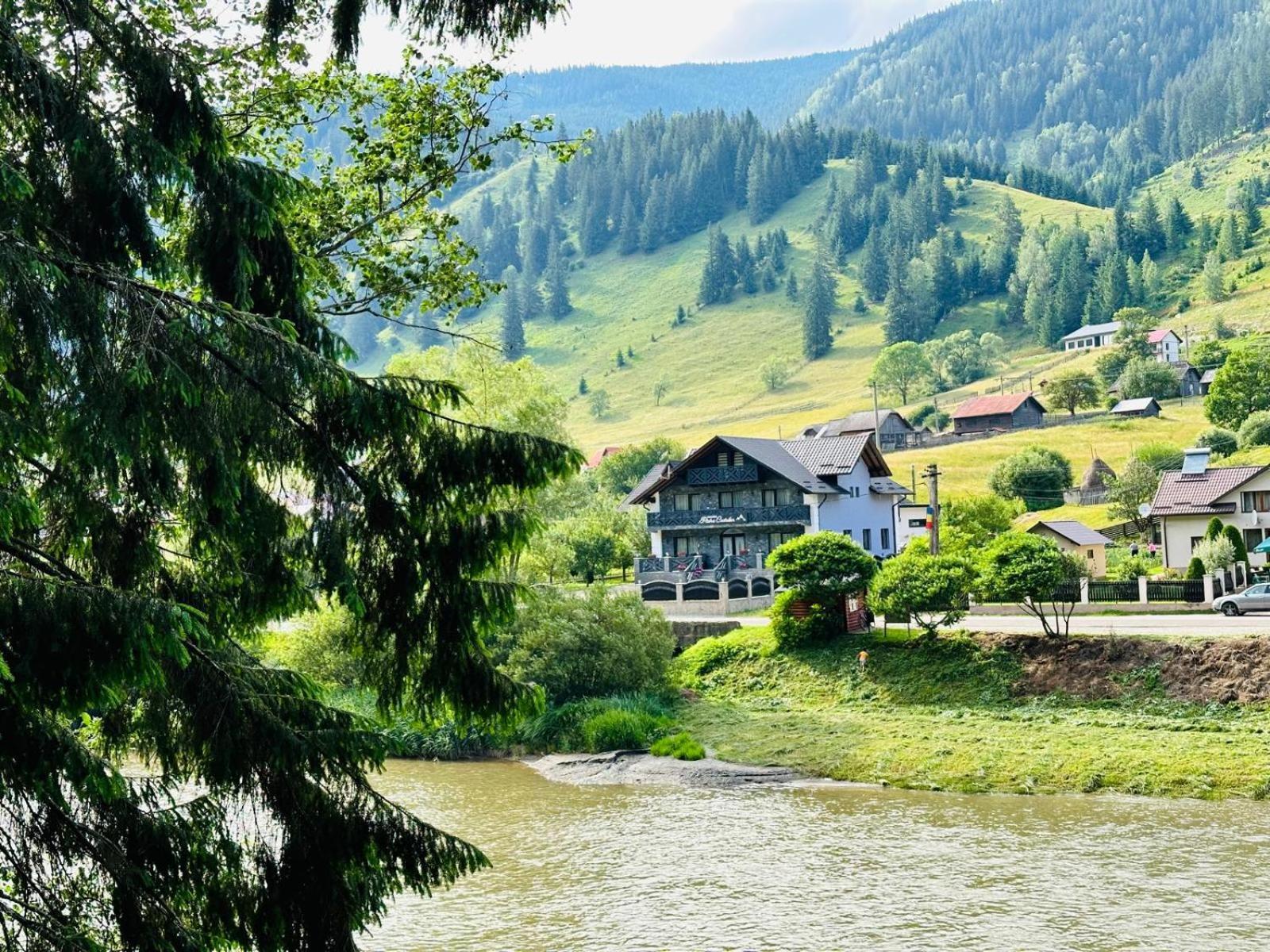 Piatra Codrilor Hotel Dorna Arini Exterior foto